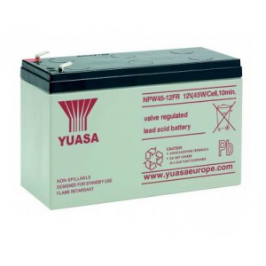 Yuasa NPW45-12